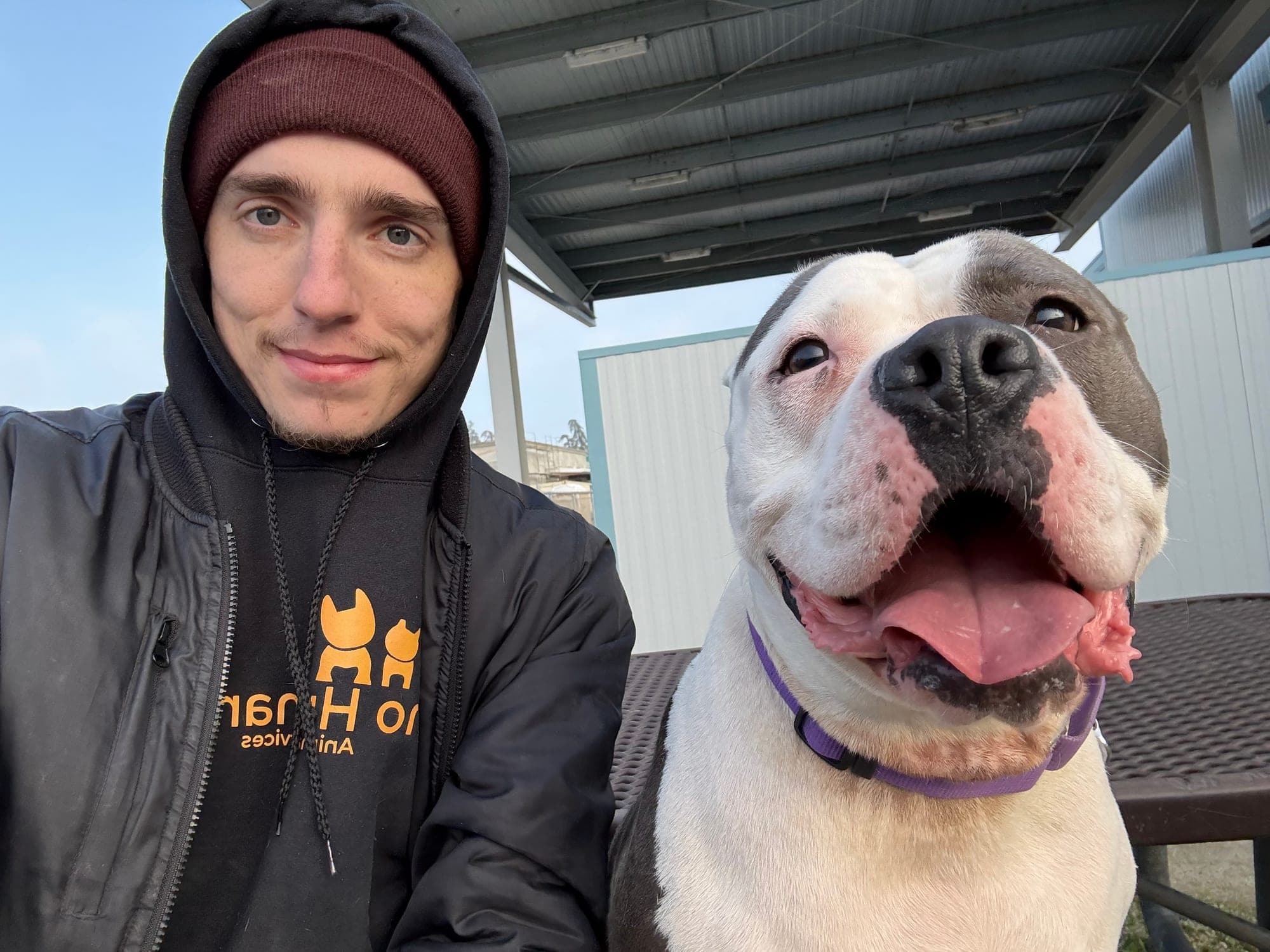 Joe taking a selfie with a smiling gray-and-white pit bull at the Fresno shelter