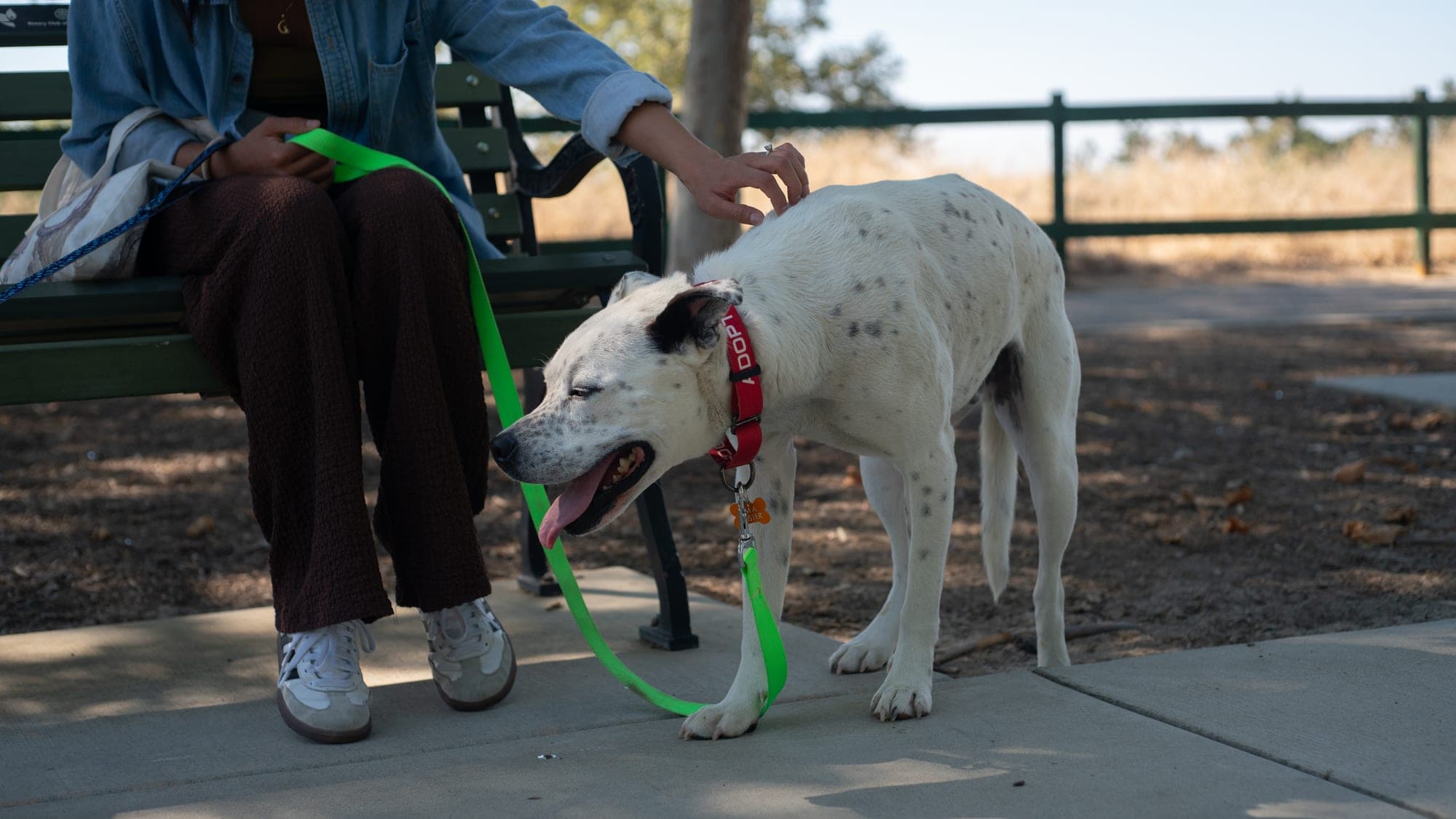 Pet photography session in Fresno, CA by Joe Hughes