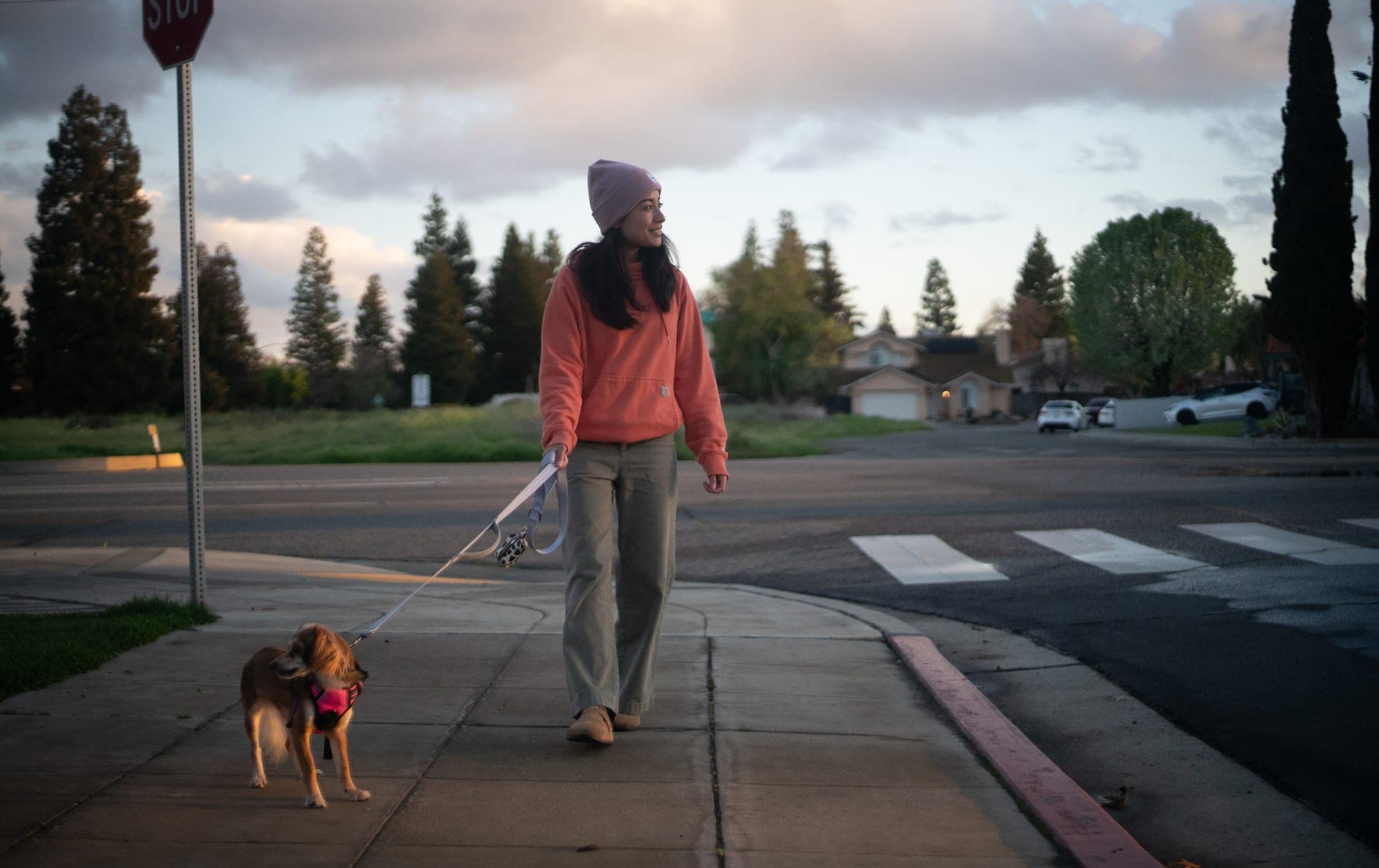 Woman walking her small dog across a quiet neighborhood street under a moody evening sky
